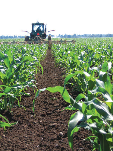 corn-and-tractor