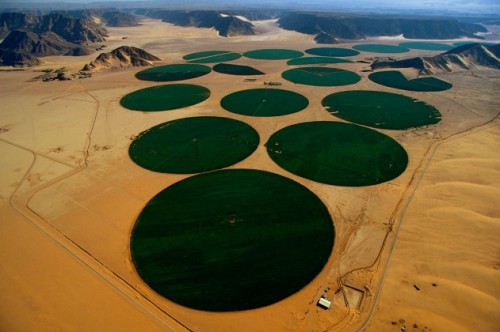 Center-Pivot irrigation, Ma’an, Jordan