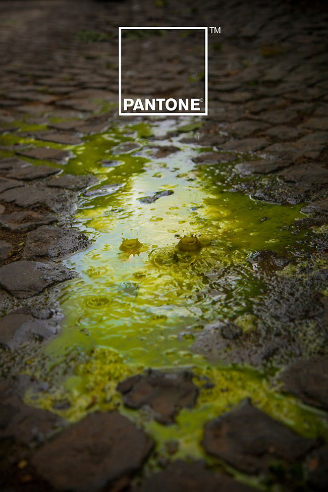 pantone-rain-2