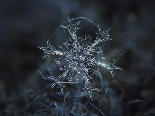 snowflake-closeup-diy-setup-alexey-kljatov-2