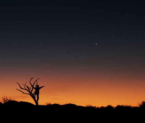 Jupiter, Venus and Mercury align against the staggering colors of the sunset and flora of the African savannah in June 2013. The bare tree and the human figure both point to one direction: Jupiter.