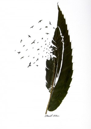 feather