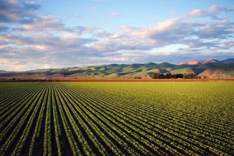 Bioengineered Labeling